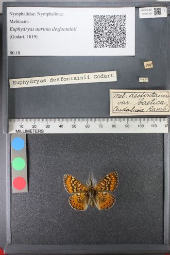 Media type: image;   Entomology 112197